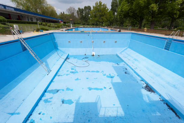 Best Professional water damage repair  in Weimar, TX