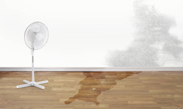 Best Ceiling water damage repair  in Weimar, TX