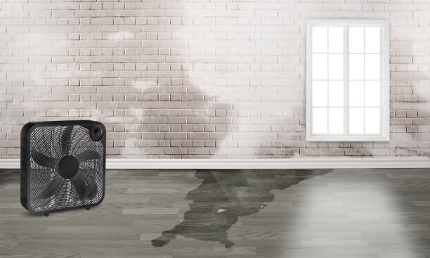 Best Basement water damage restoration  in Weimar, TX