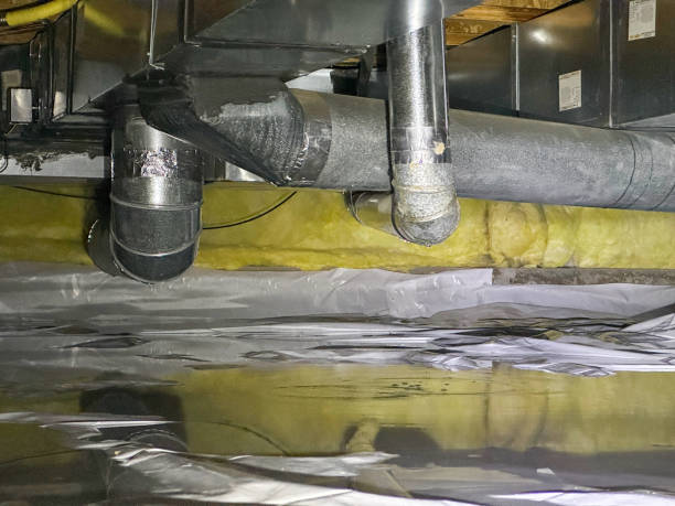 Best Professional water damage repair  in Weimar, TX